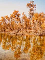 Hu Yanglin Nature Park