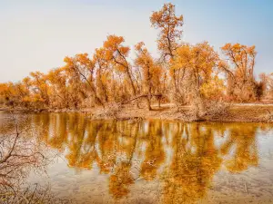 Hu Yanglin Nature Park