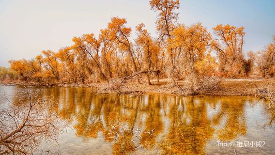 Hu Yanglin Nature Park