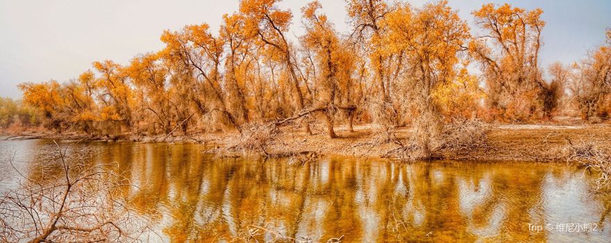 Hu Yanglin Nature Park