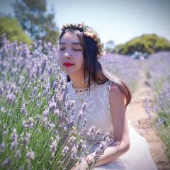 Emu Bay Lavender張用戶圖片