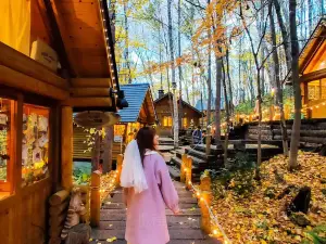 Popular Night Attractions in Furano