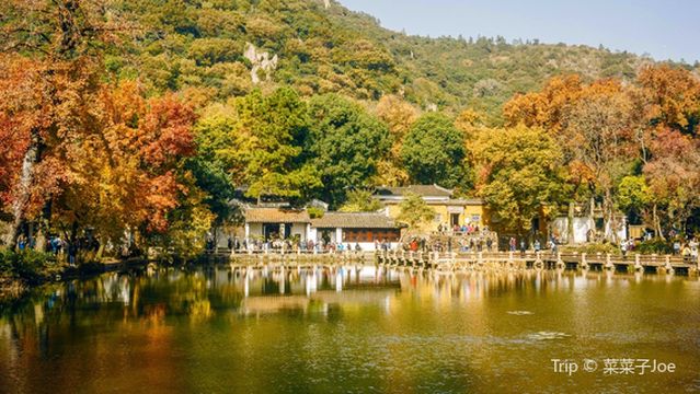 Maple Leaf Viewing in Suzhou