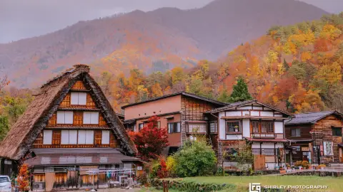 Sakado Travel Guide 2026: Things to Do, Attractions & Itinerary