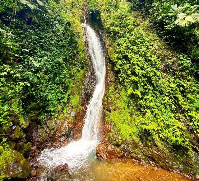 Mistico Arenal Hanging Bridges Park