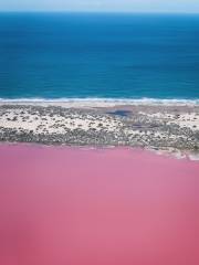 Pink Lake