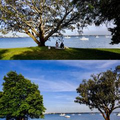 The University Club of Western Australia 여행 사진