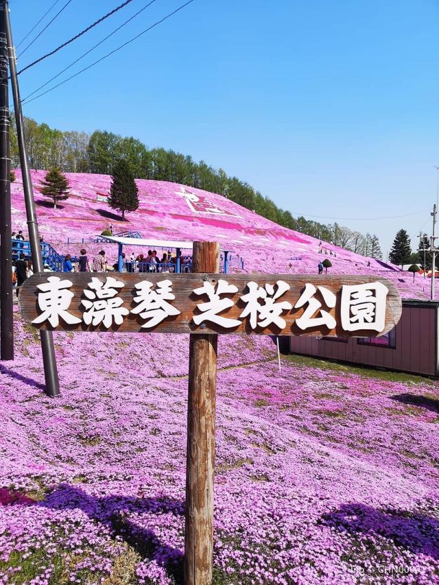 東藻琴芝櫻公園