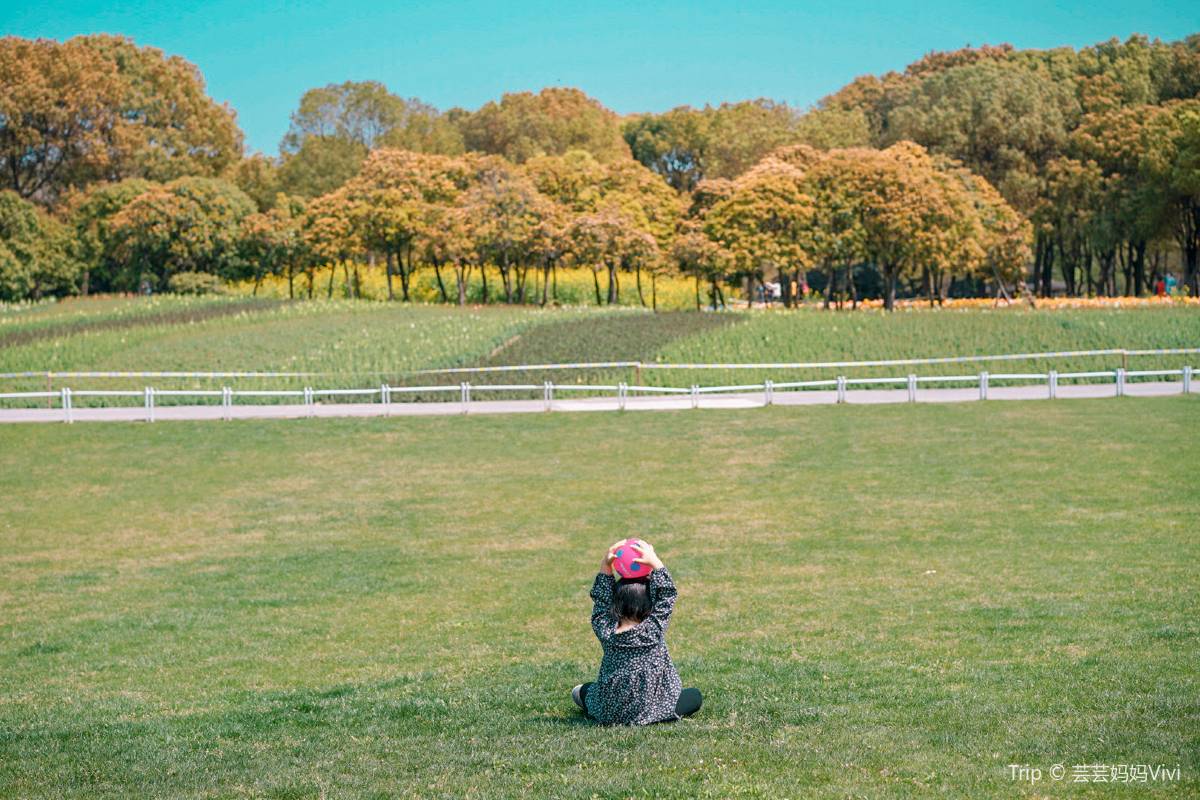 子連れで上海旅行を思いっきり満喫しよう！