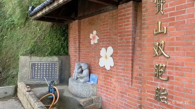 寶山雙胞胎井