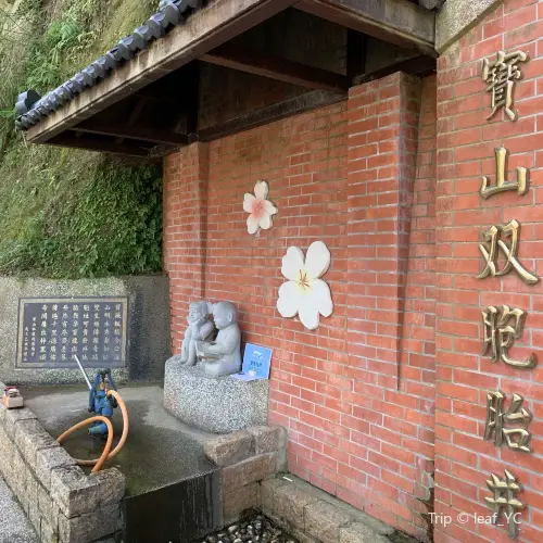 寶山雙胞胎井