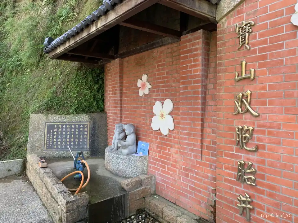 寶山雙胞胎井