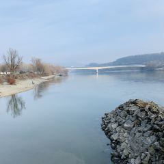 Ristorante Danubio - Donauhof User Photo