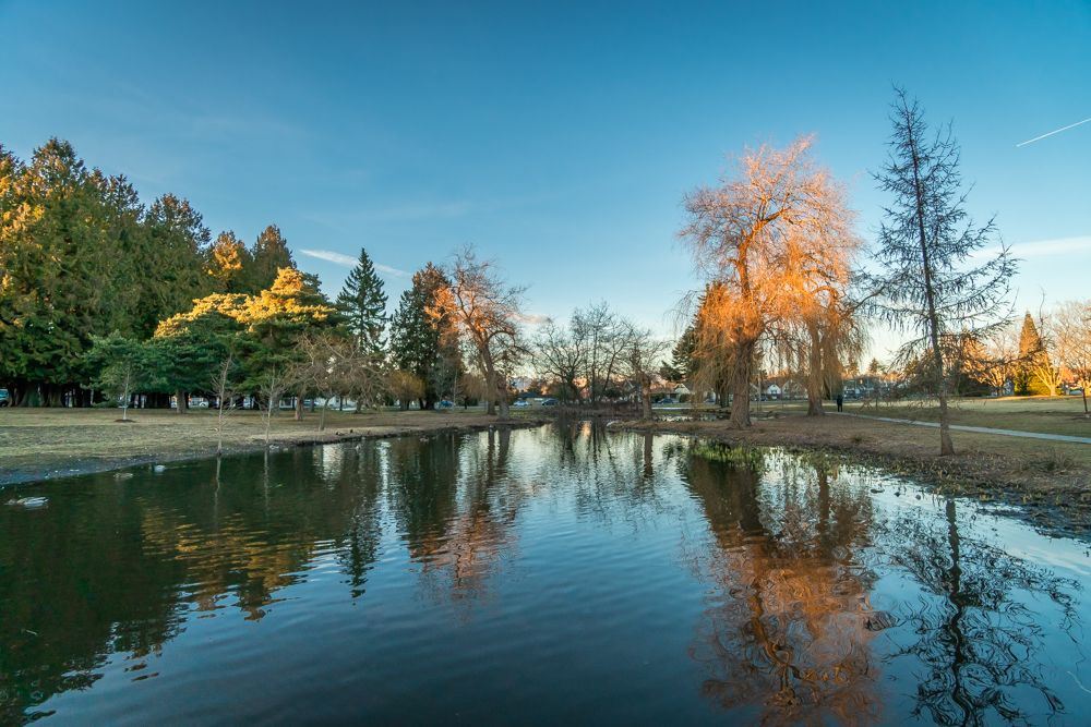 Fairview