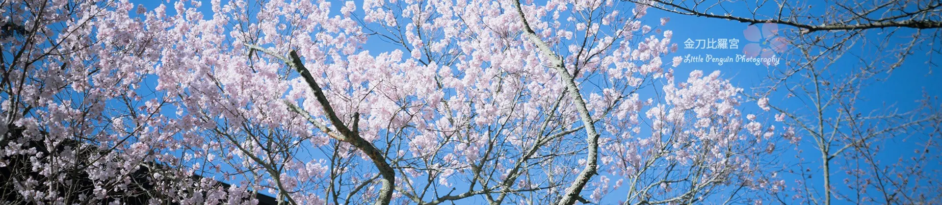 Sites de Randonnée Florale