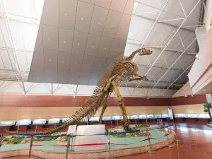 Zhucheng City Dinosaur Park