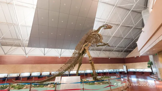 Zhucheng City Dinosaur Park