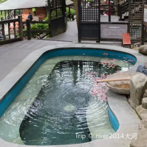 Ninghai Forest Hot Spring