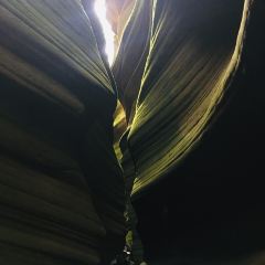 下寺湾一碗聚 User Photo