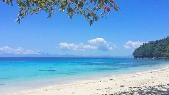 pangubatan beach resort