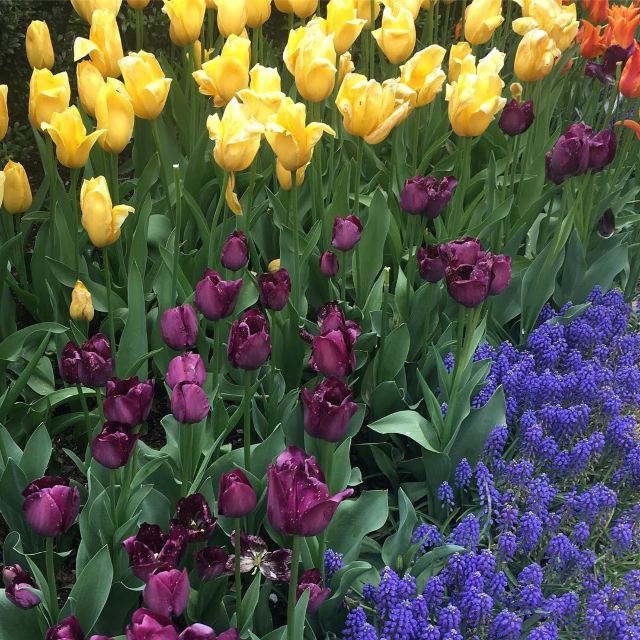 溫室花園