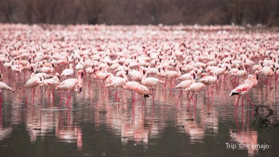 Ханнингтон