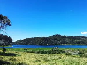 マウント・バッファロー国立公園