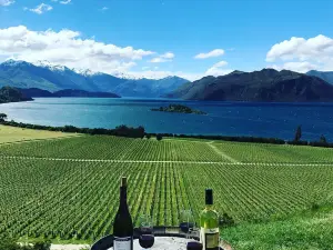 Rippon
