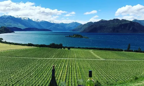 Rippon
