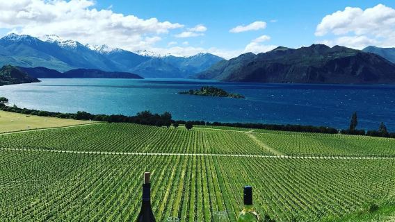 Rippon