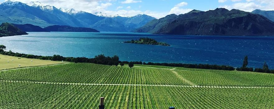 Rippon