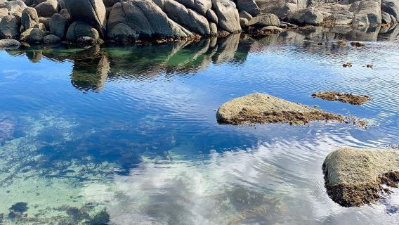 Coles Bay