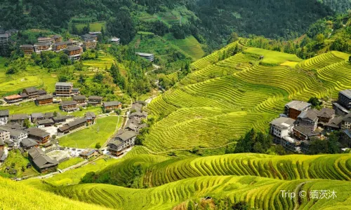 Longji Terraces