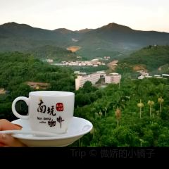 南坑咖啡观赏园 User Photo