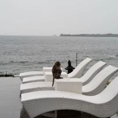 Fish Farm Restaurant & Resort User Photo