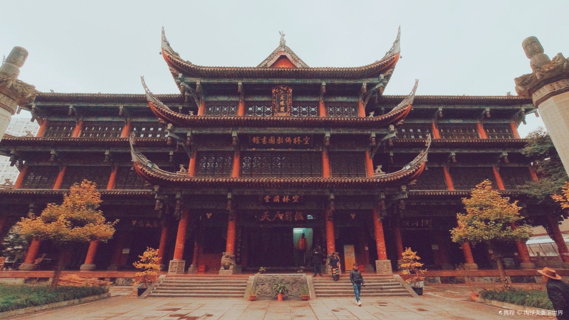 Privater Chengdu Zwischenstopp Panda-Basis oder Stadtrundfahrt angepasst an deine Flüge