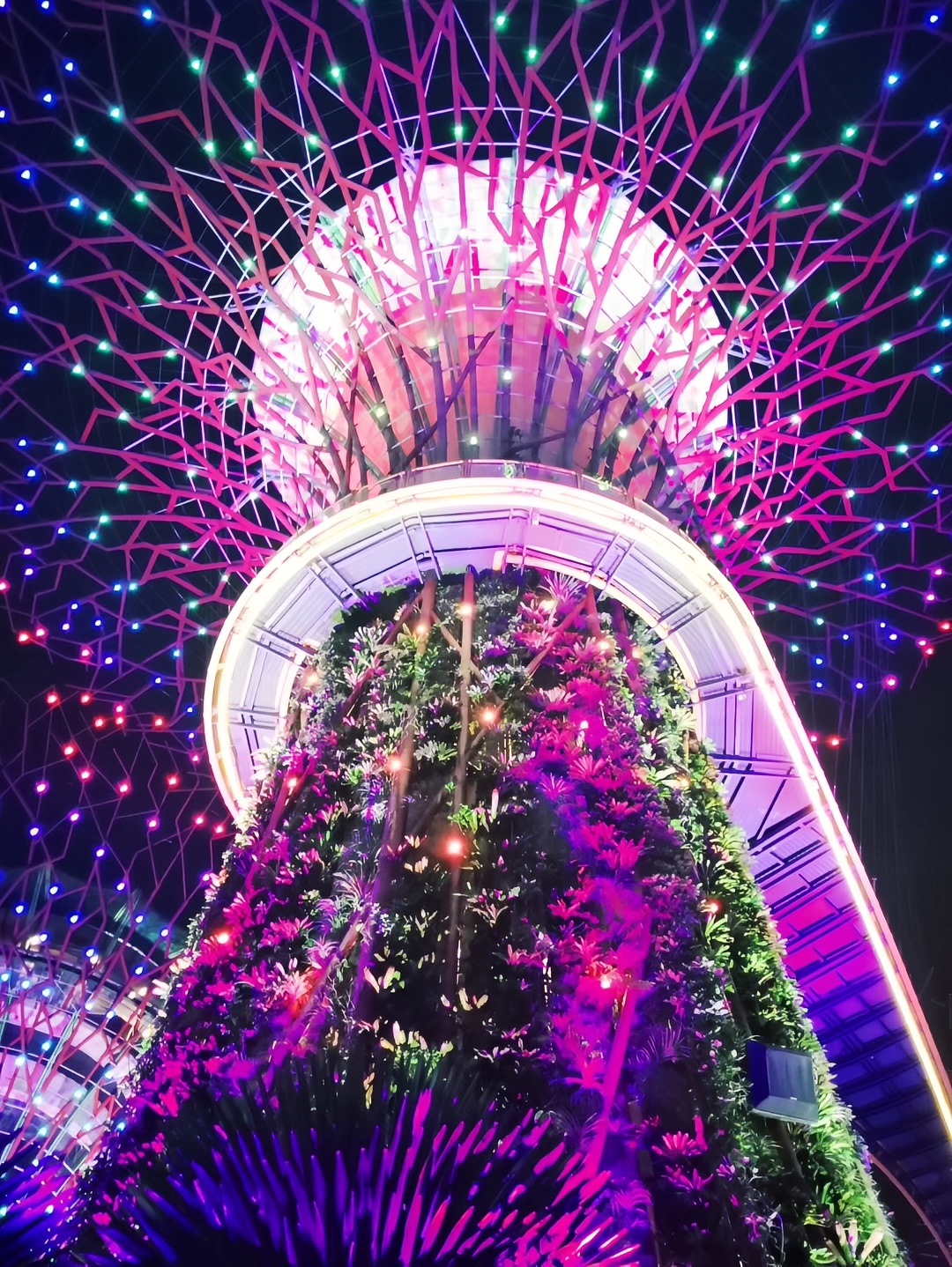 Garden By The Bay Light Show