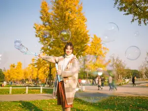 Century Park