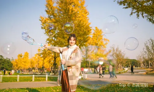 Century Park