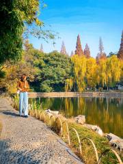 Zhejiangdaxue (huajiachixiaoqu) - Botanical Garden