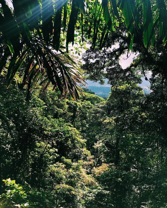 Mistico Arenal Hanging Bridges Park