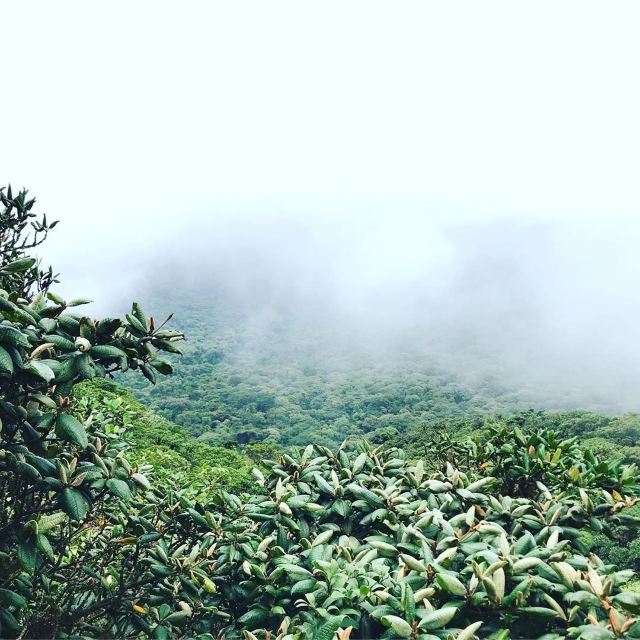 Monteverde Cloud Forest Biological Preserve
