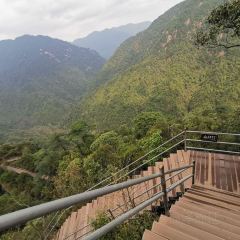 莽山天台山美食 User Photo