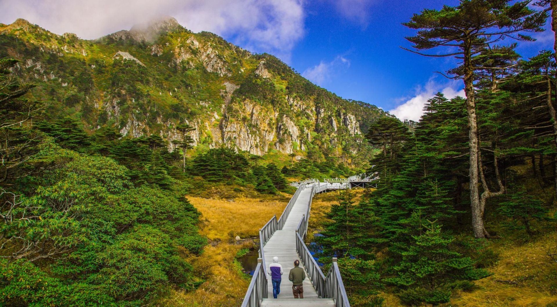 蒼山