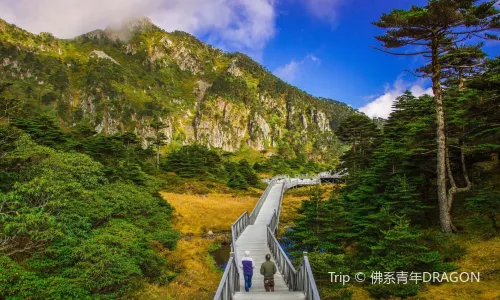 蒼山