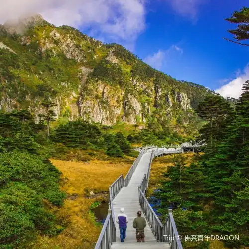 Top 20 Best Things to Do in Dali City