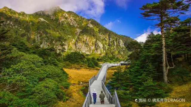 蒼山