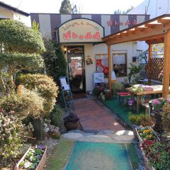 Pannomimi User Photo