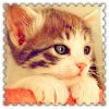 user-icon