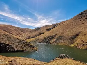 大海草山